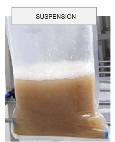 bioreactor-sespension.jpg