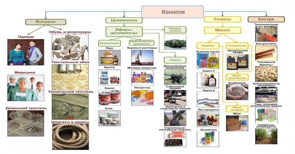 cannabis-report-products.jpg