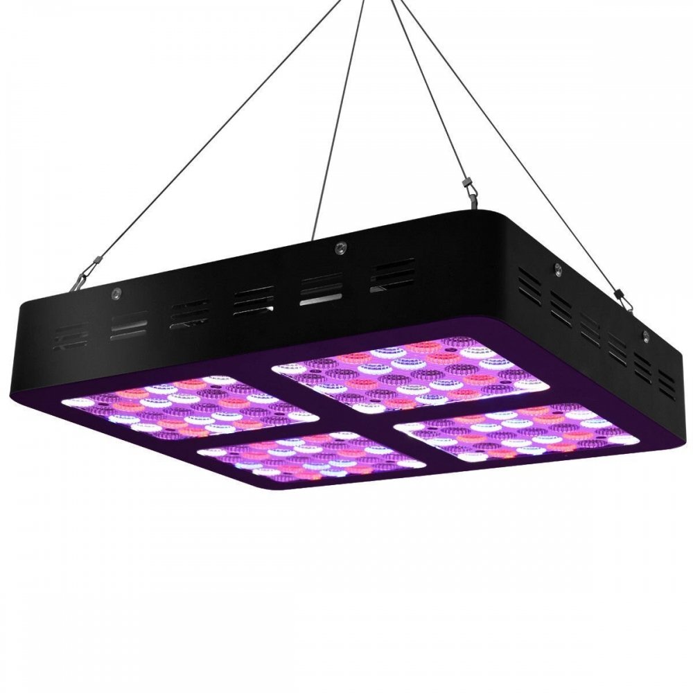 led.jpg