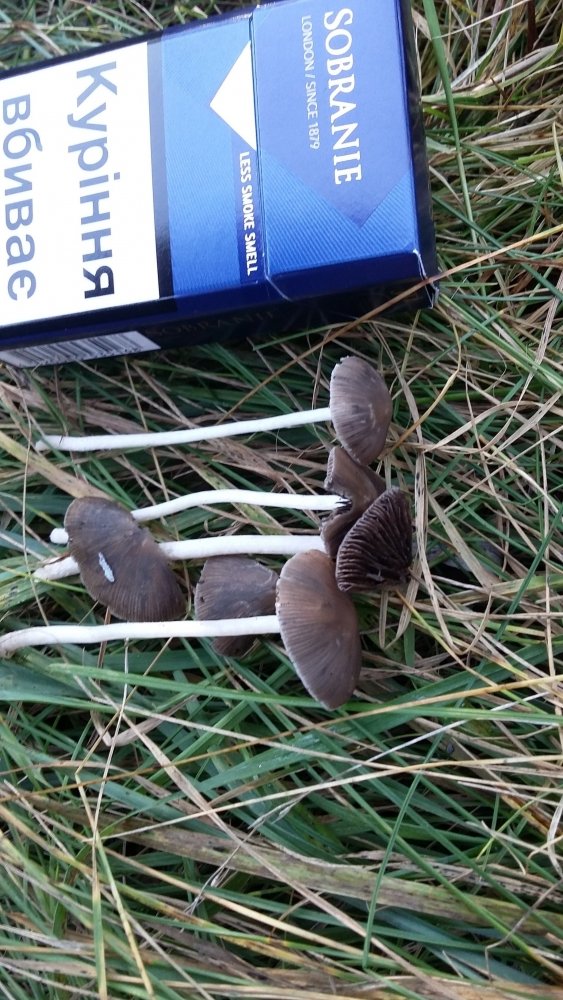 20191002_103023.jpg