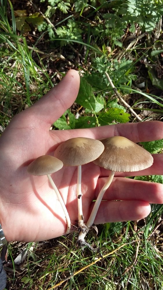 20191002_130653.jpg