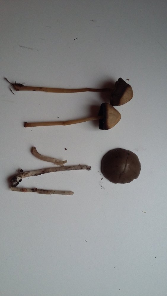 20191005_171959.jpg