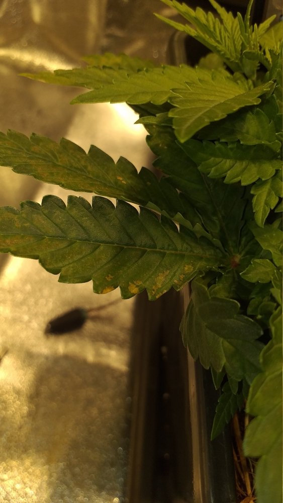 20191031_170711.jpg