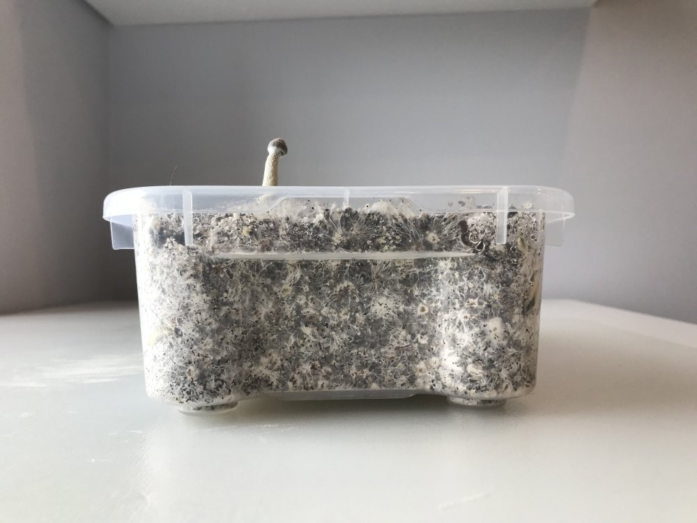 0- - 4.jpg