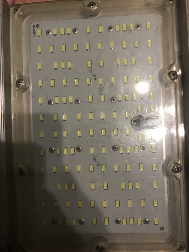 4ACF07FE-796C-4225-8E7D-5F67766866D1.thumb.jpeg.6c0d99fd9ea1ed597b71d79b226cc61c.jpeg