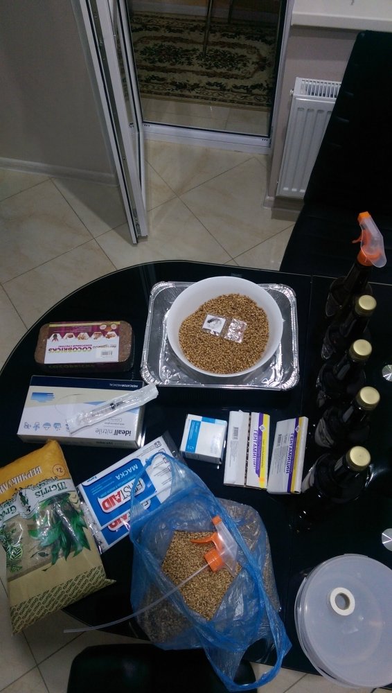 IMAG0067.jpg