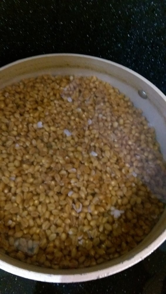 IMAG0074.jpg