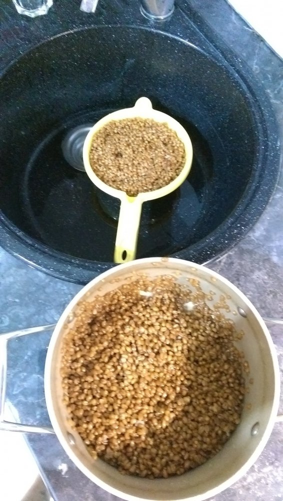 IMAG0075.jpg