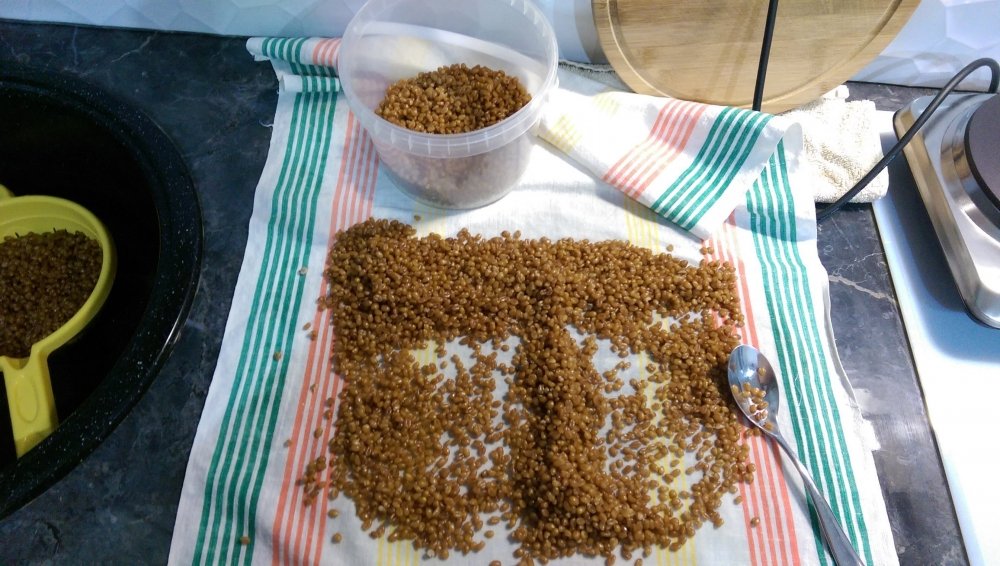IMAG0080.jpg