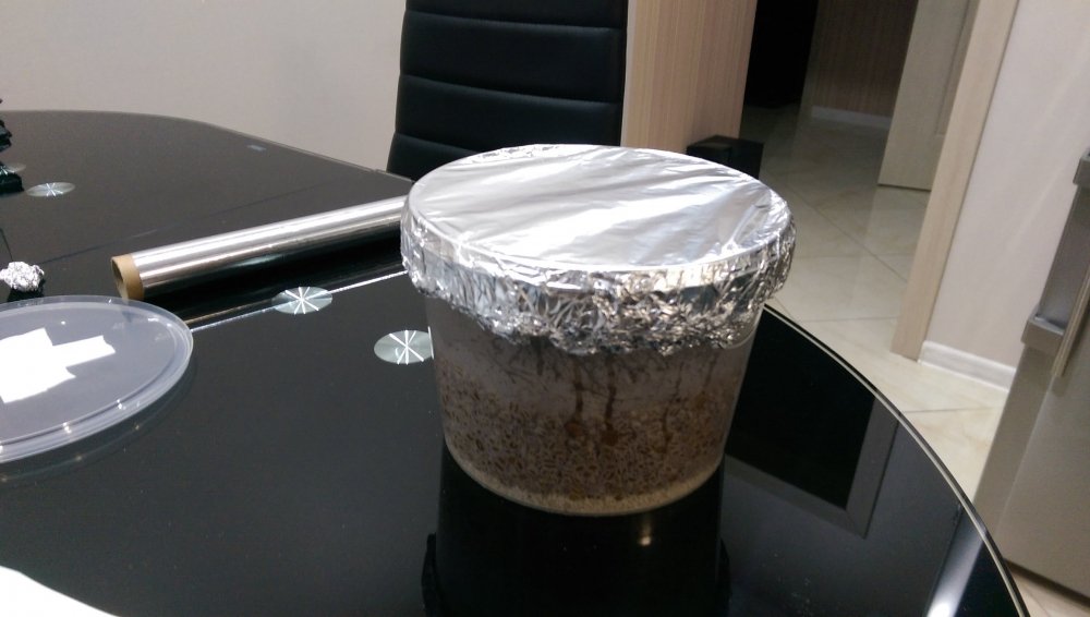 IMAG0083.jpg