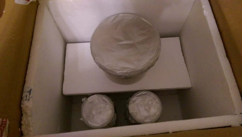 IMAG0116.jpg