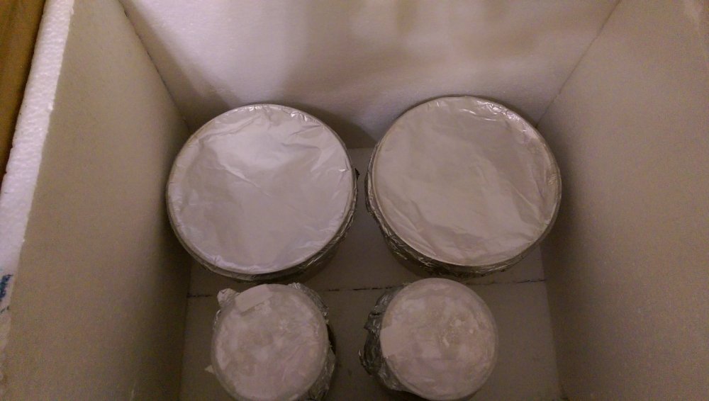 IMAG0117.jpg