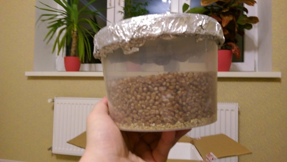 IMAG0119.jpg