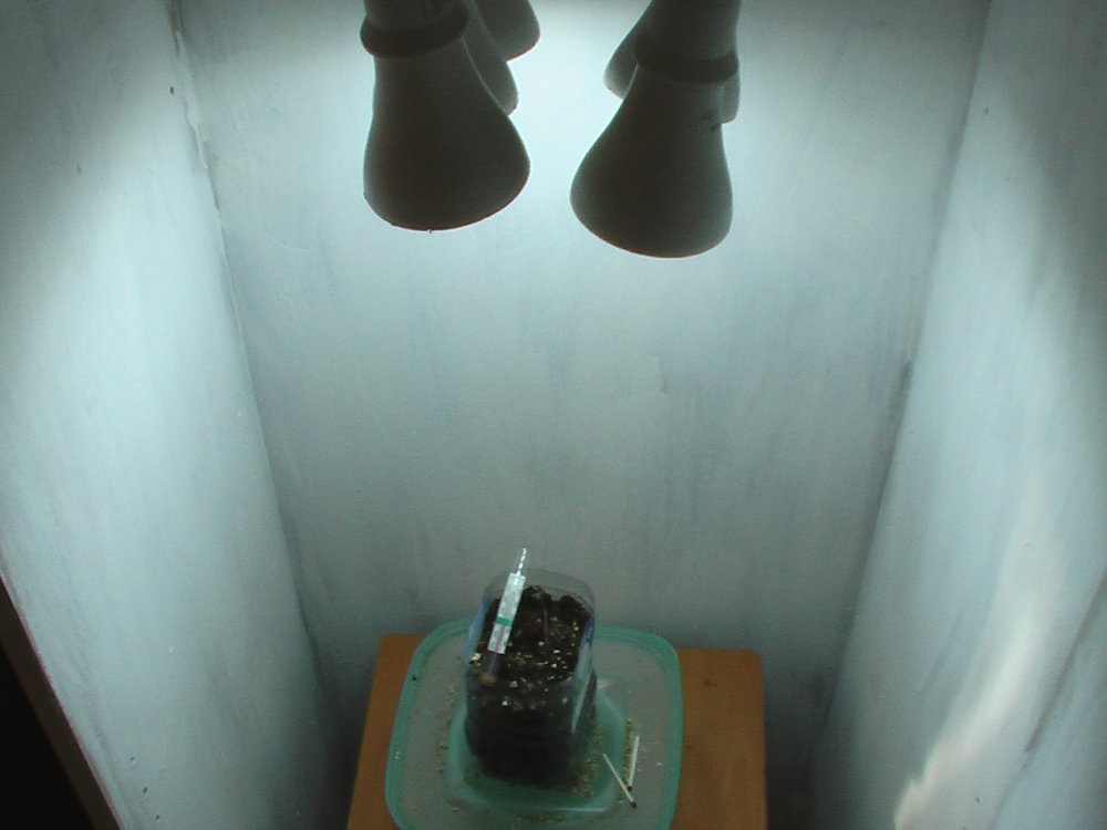 IMGA0068.JPG