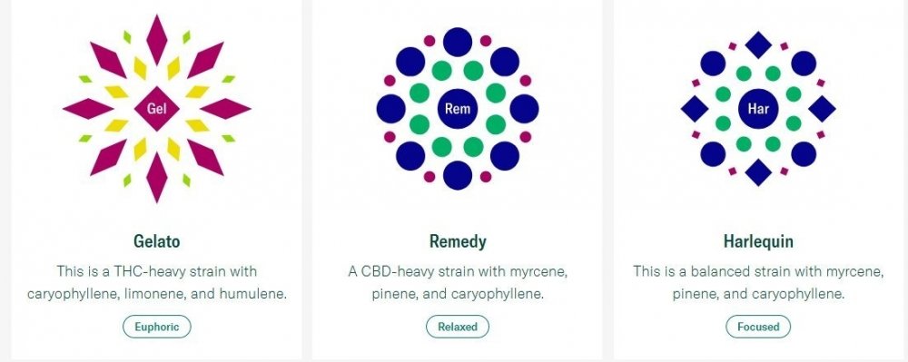 leafly-schemes.jpg