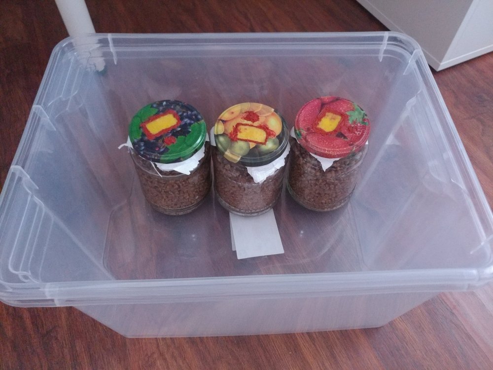 1101191446_HDR.jpg