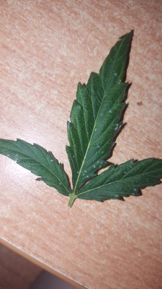 20191101_191423.jpg