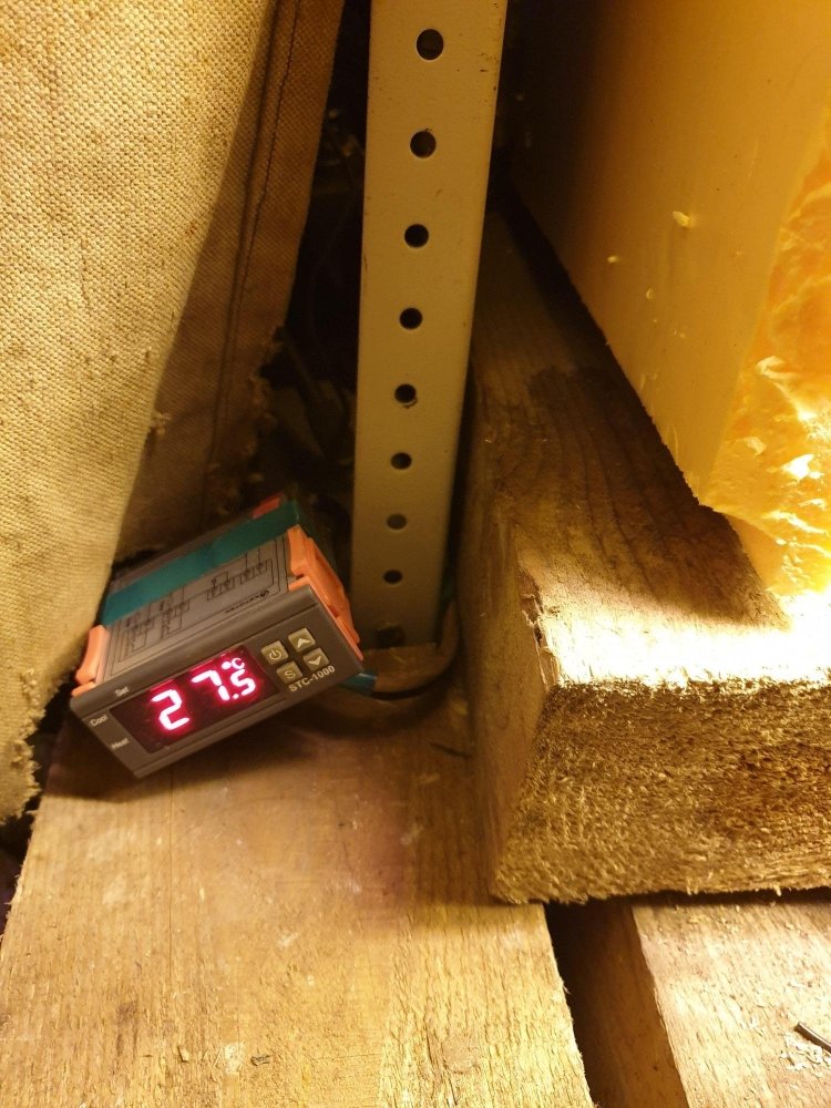 20191119_171414.thumb.jpg.bed2ae35eac71bdff9a367b6a5cfe99b.jpg