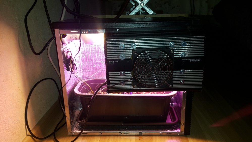 20191124_215315.jpg