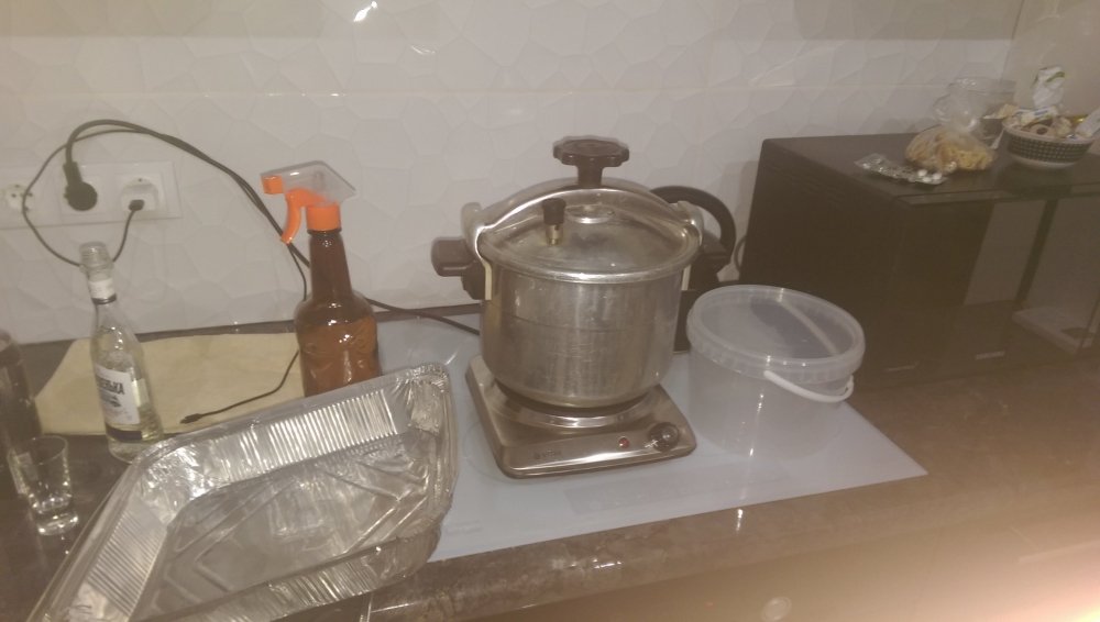 IMAG0211.jpg