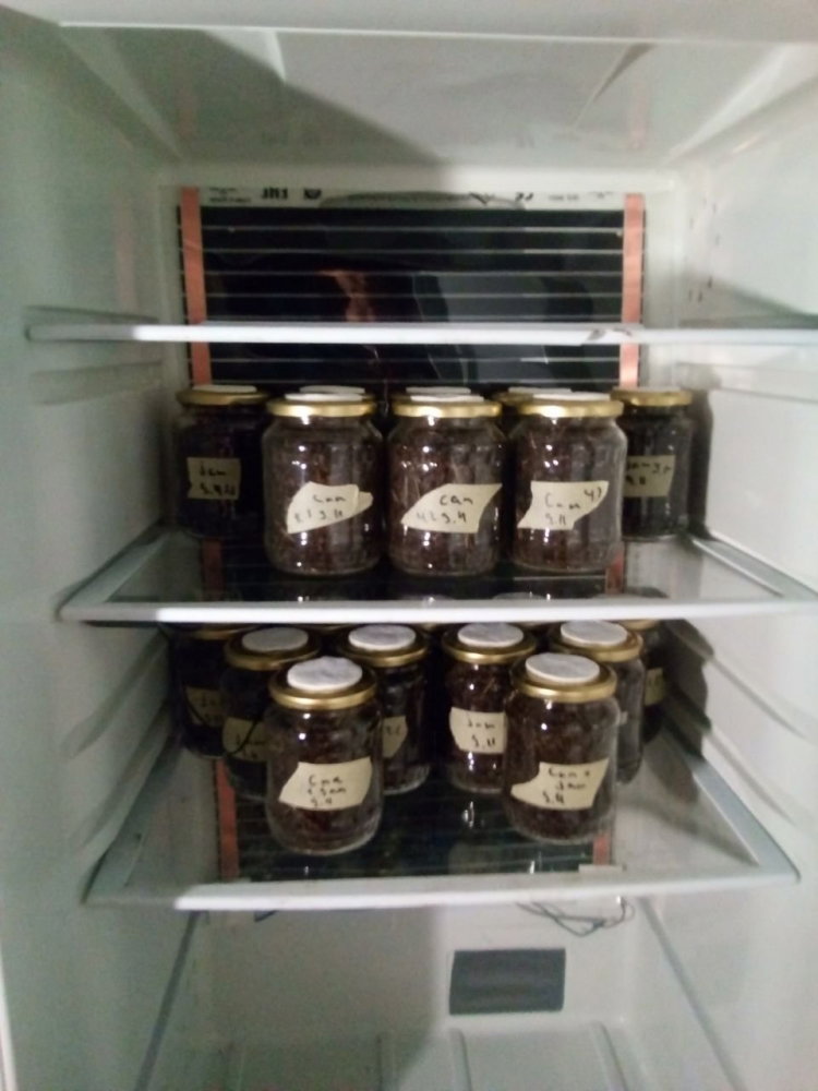 IMG_1734.JPG