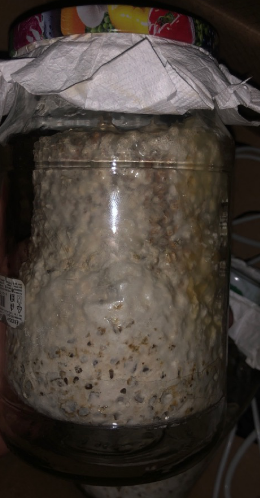 image.thumb.png.54d0aa0f8d2374f0378cfc12dd26eb04.png