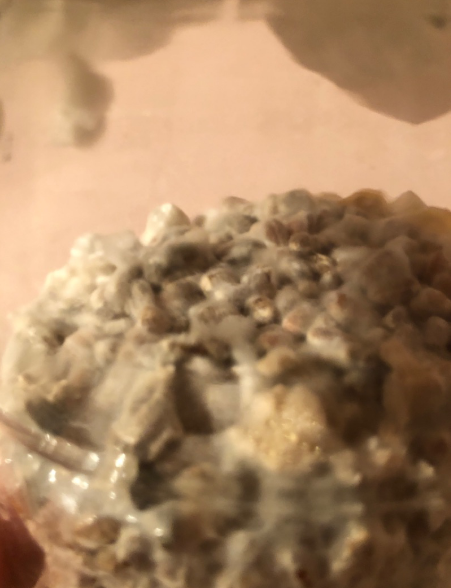 image.thumb.png.ad2ba25abbf81cd41dabace4d3f8a056.png