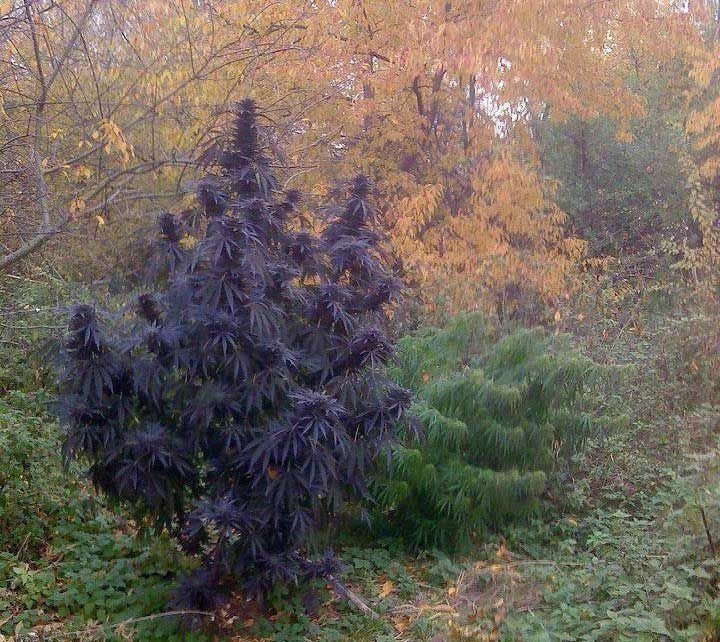 03.jpg