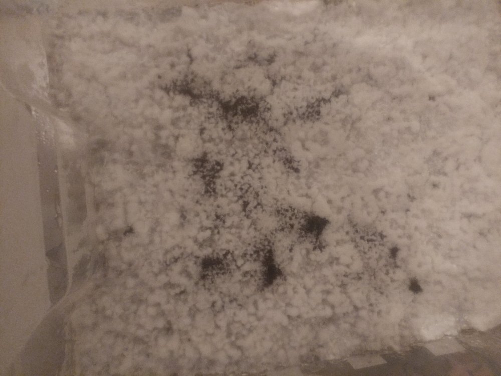 1207191723_HDR.jpg