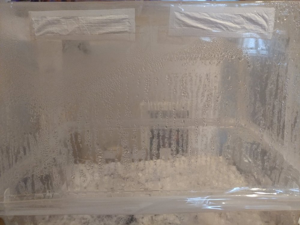 1210191055_HDR.jpg