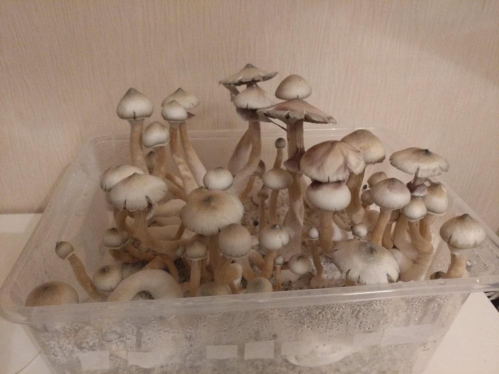 1229190816_HDR.jpg