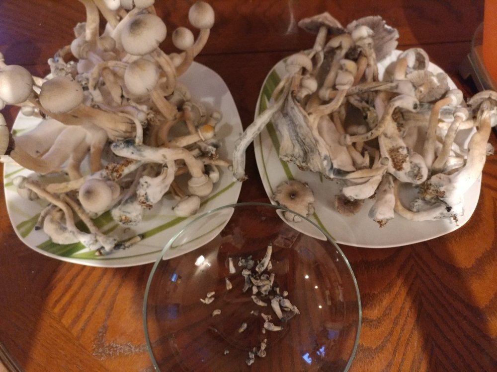 1229190837_HDR.jpg