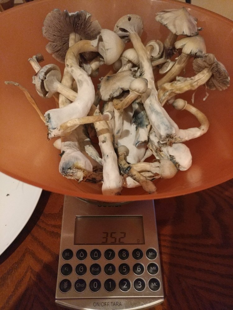 1229190839_HDR.jpg
