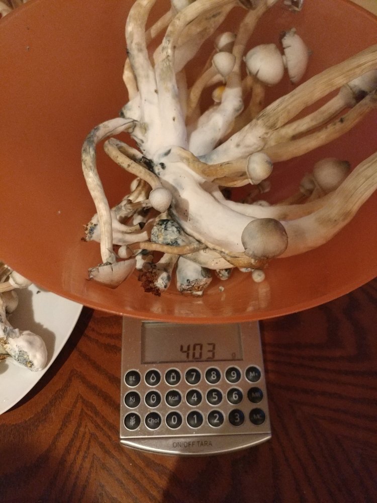 1229190848_HDR.jpg