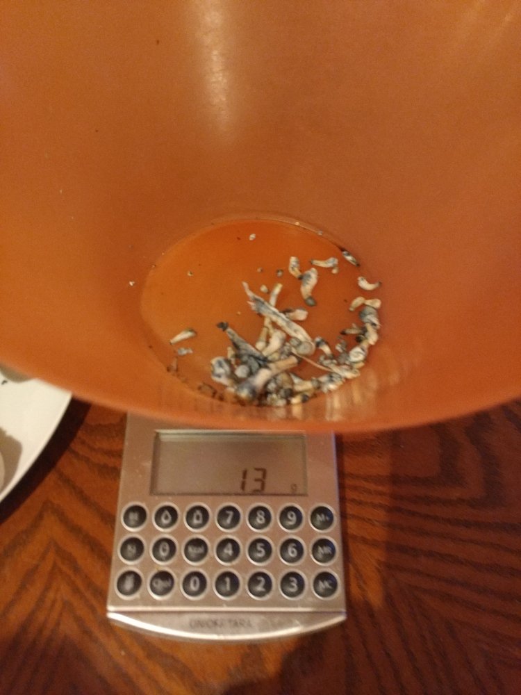 1229190849_HDR.jpg