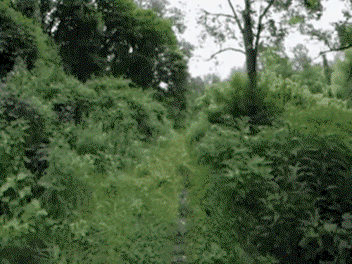 1653031662_2.thumb.gif.4d740559ac425ddade0c87683a0bc657.gif