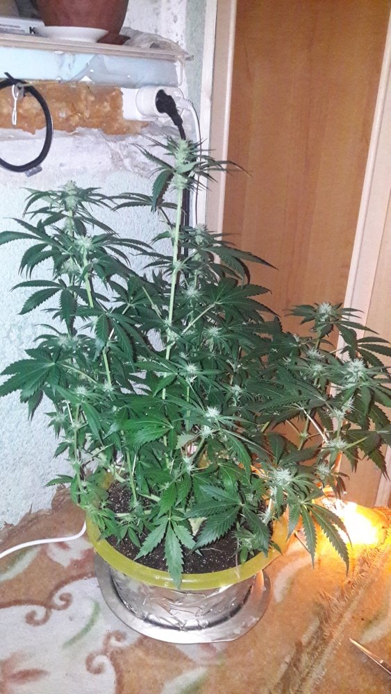 20191202_232531-0.jpg