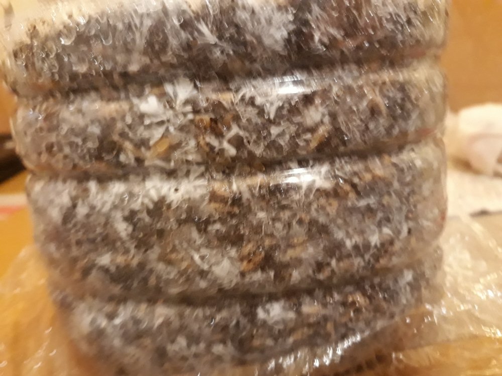 20191207_063111.jpg