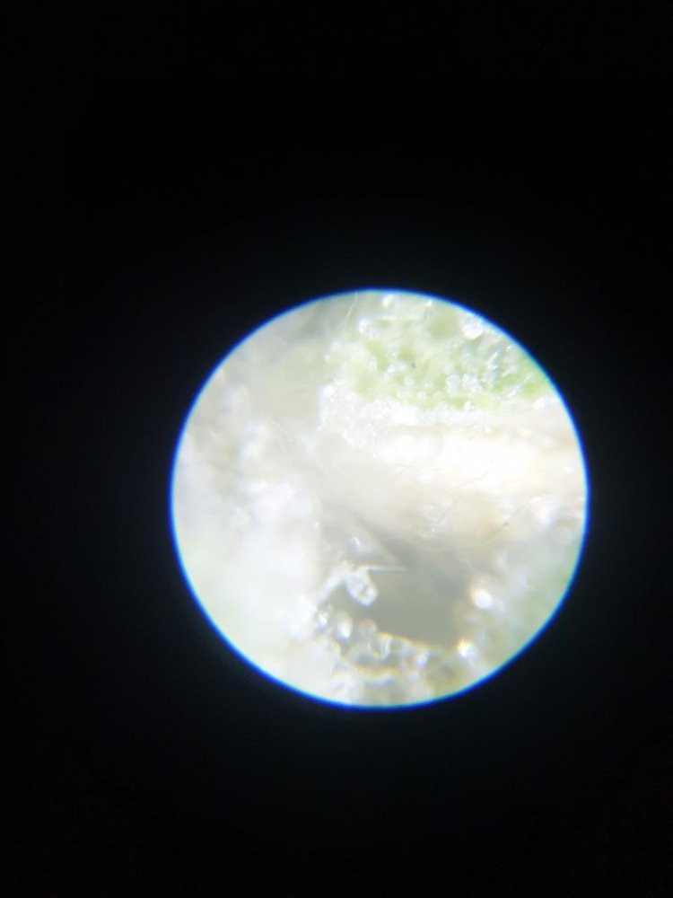 20191223_173310.jpg