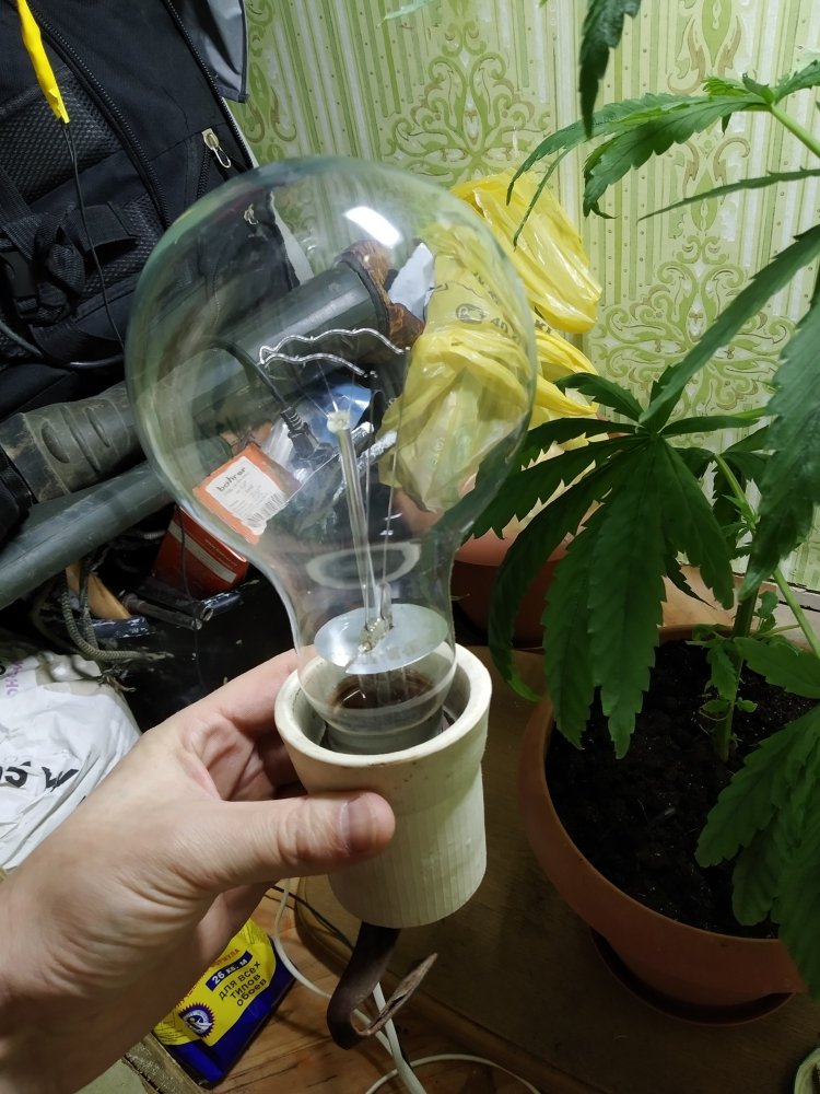 364628647_IMG_20191226_1243091.thumb.jpg.c30222f4fcdf229c03dbff74a13cdd88.jpg