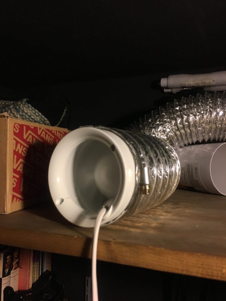 IMG_0396.jpeg
