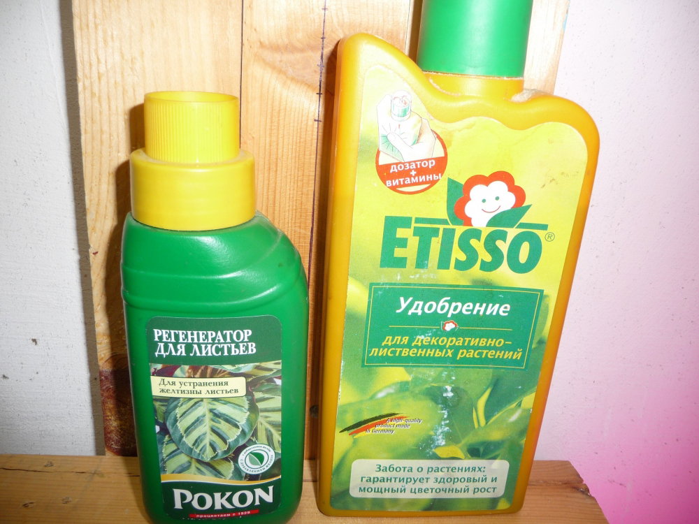 P1050409.JPG