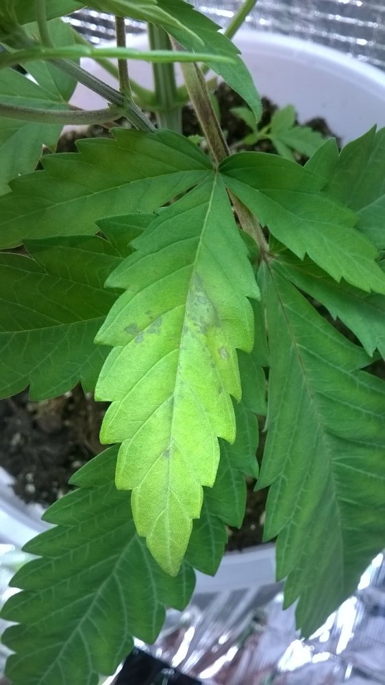 WP_20191202_09_42_05_Pro.jpg