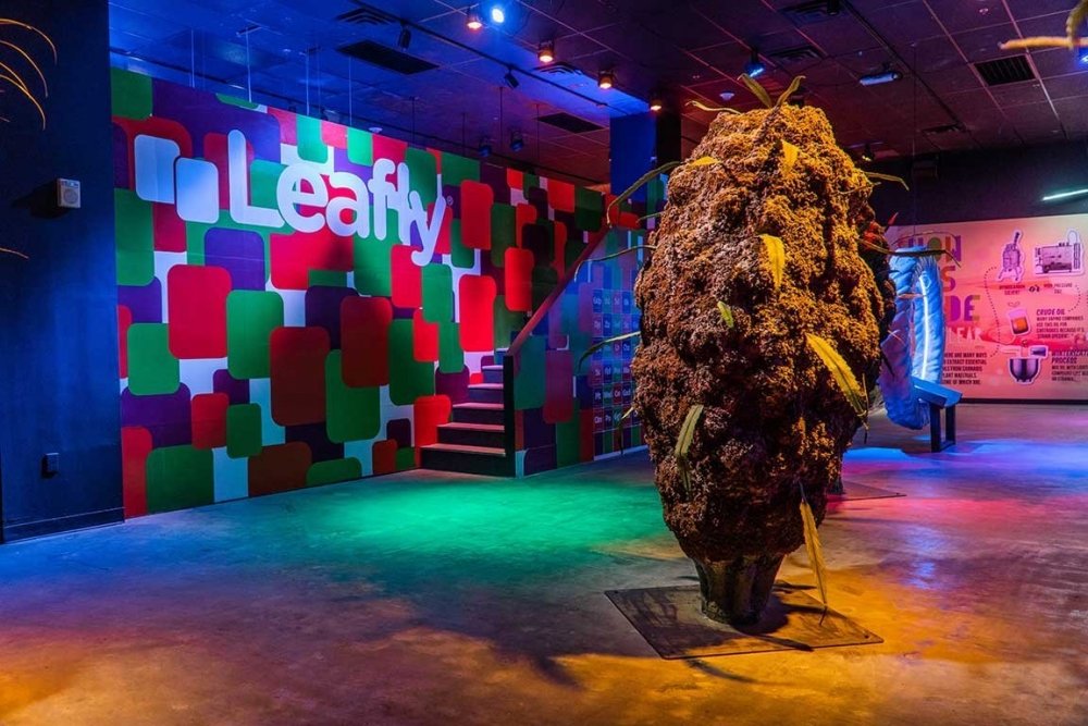 cannabition-cannabis-museum.jpg