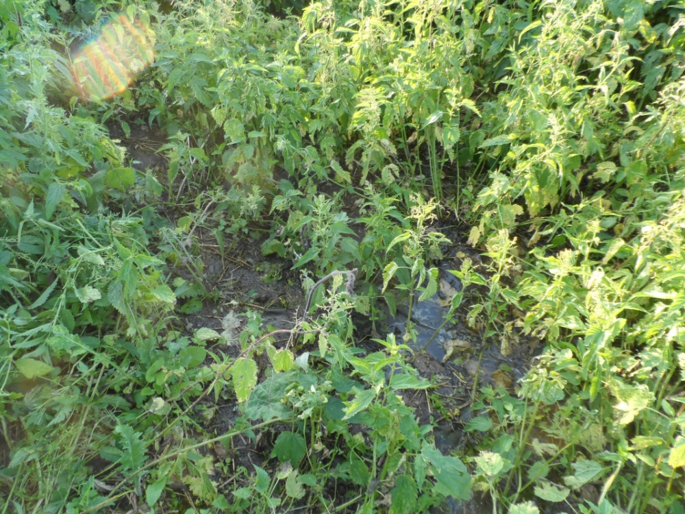 image.thumb.png.bb20cc774b3558ef2c9319a0c94c481c.png