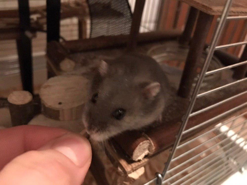 photo_2019-12-26_00-41-28.thumb.jpg.aef128e1a7cff7ce51c8197e0ce7cab1.jpg