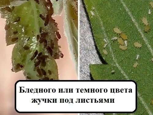 01.jpg