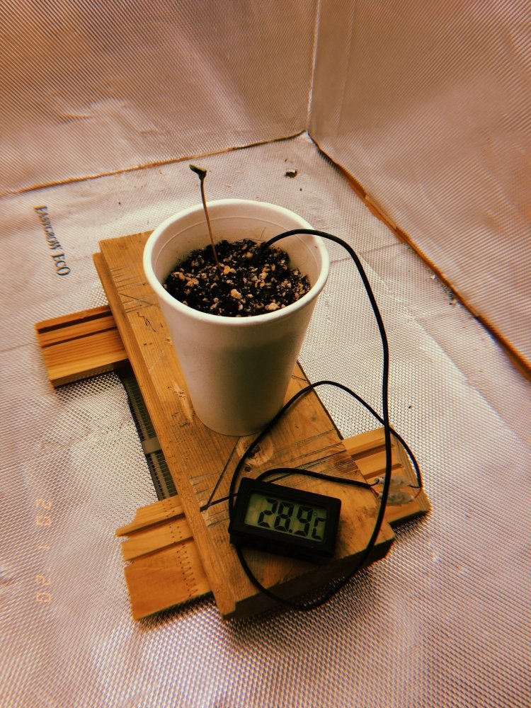 2020-01-20 21:13:16.323.jpg