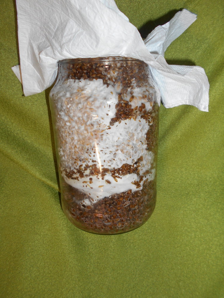 DSCN6667.JPG