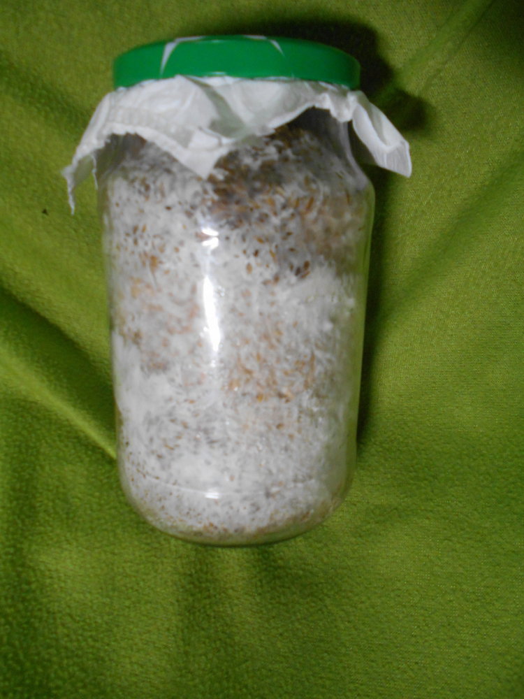DSCN6669.thumb.JPG.aad057fca8e032f8c8674ede58deb243.JPG